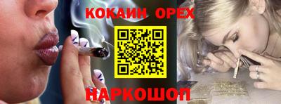 дживик Новозыбков