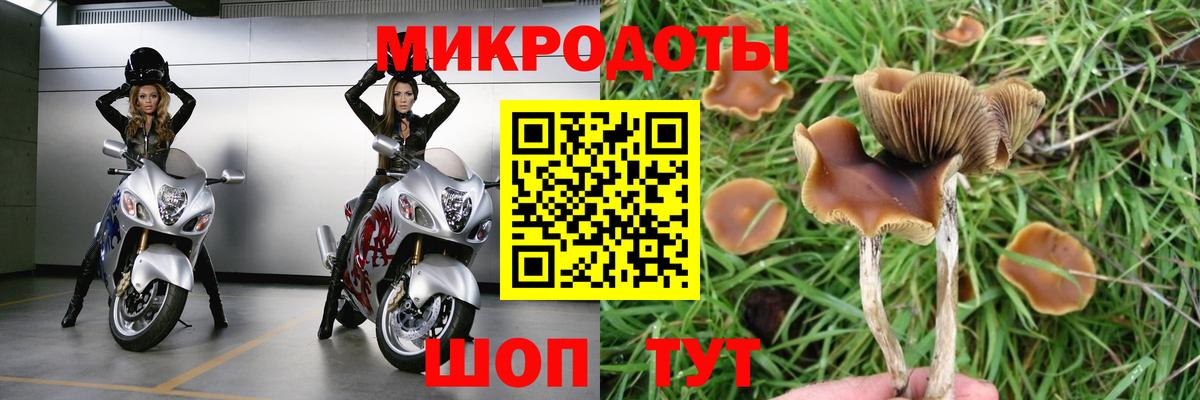 Галлюциногенные грибы мухоморы  Псилоцибиновые грибы мицелий  Вход с VPN  Соликамск 
